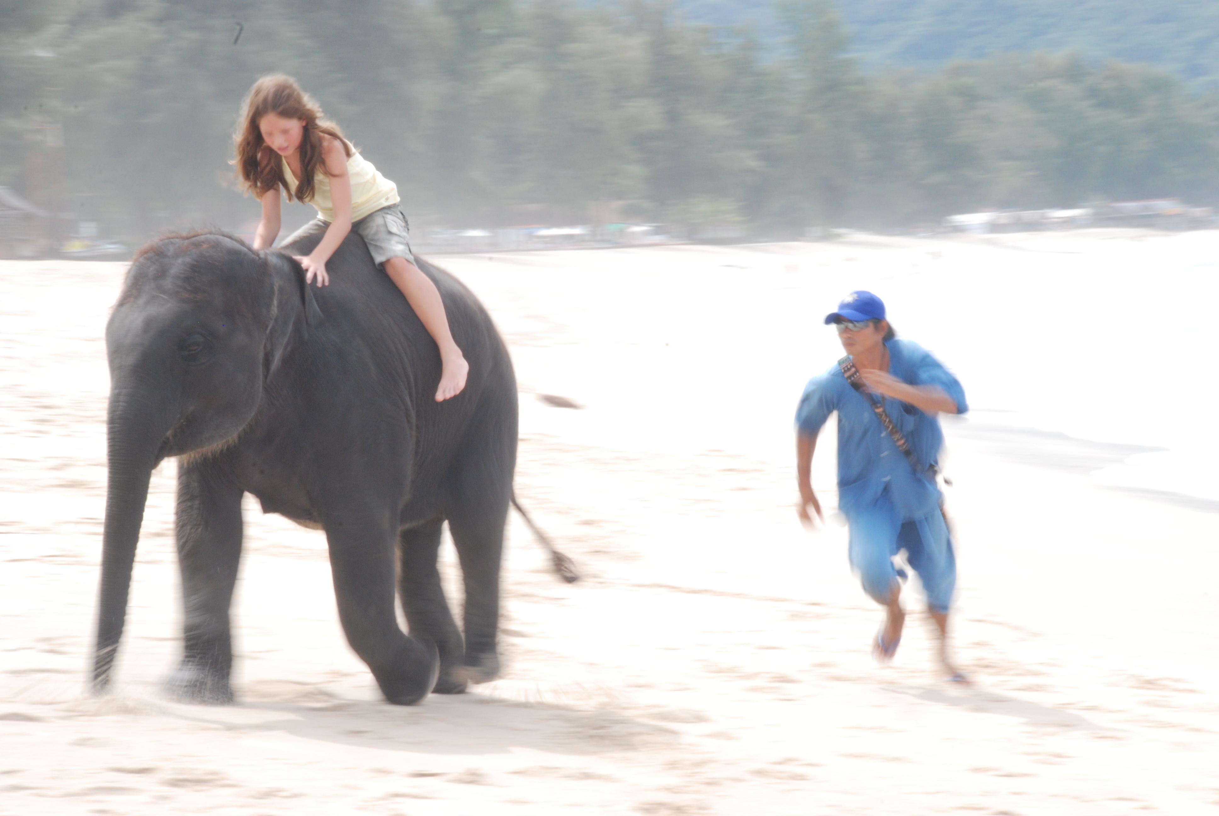 Hero Animals: The Elephant That Rescued The Girl - Big Wave Productions