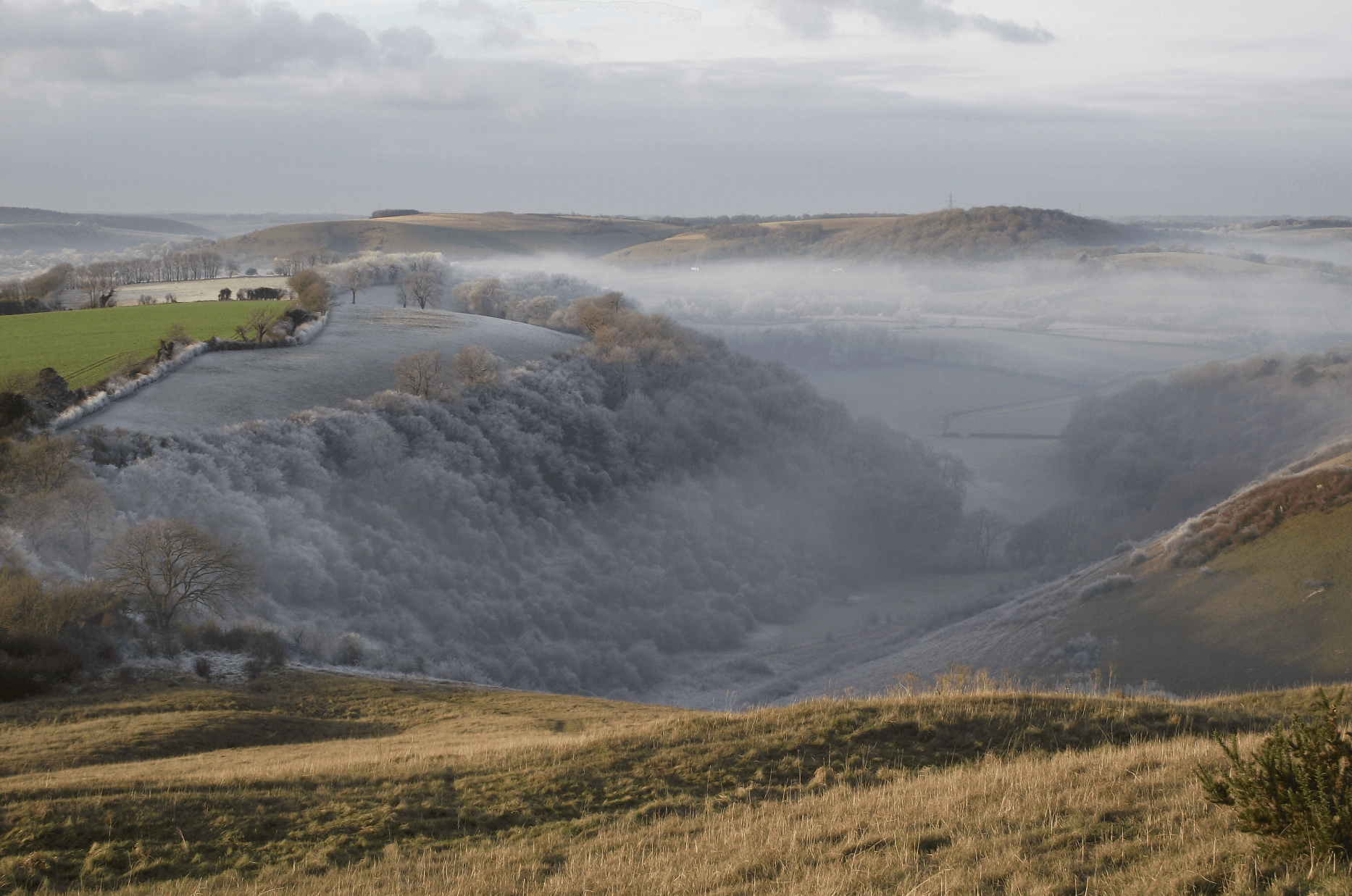 South downs. Саут-Даунс. Возвышенности Норт Даунс. Национальный парк Саут Даунс в Мидхерсте. The downs England.